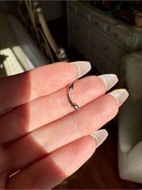 Curved Titanium Barbell with Spike Ends - Silver